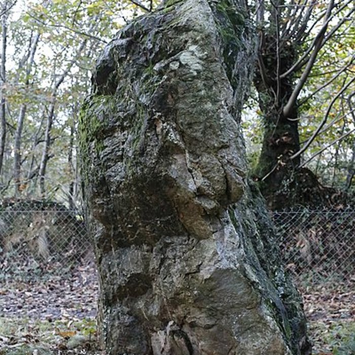 Photo de Pierre de Richebourg de Retiers
