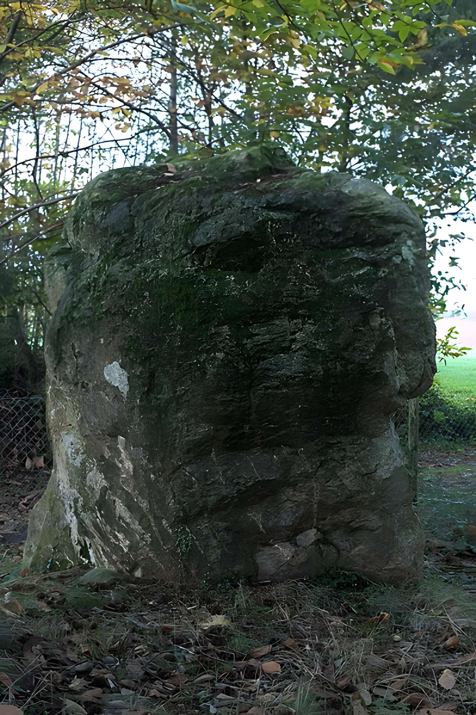 Pierre de Richebourg de Retiers