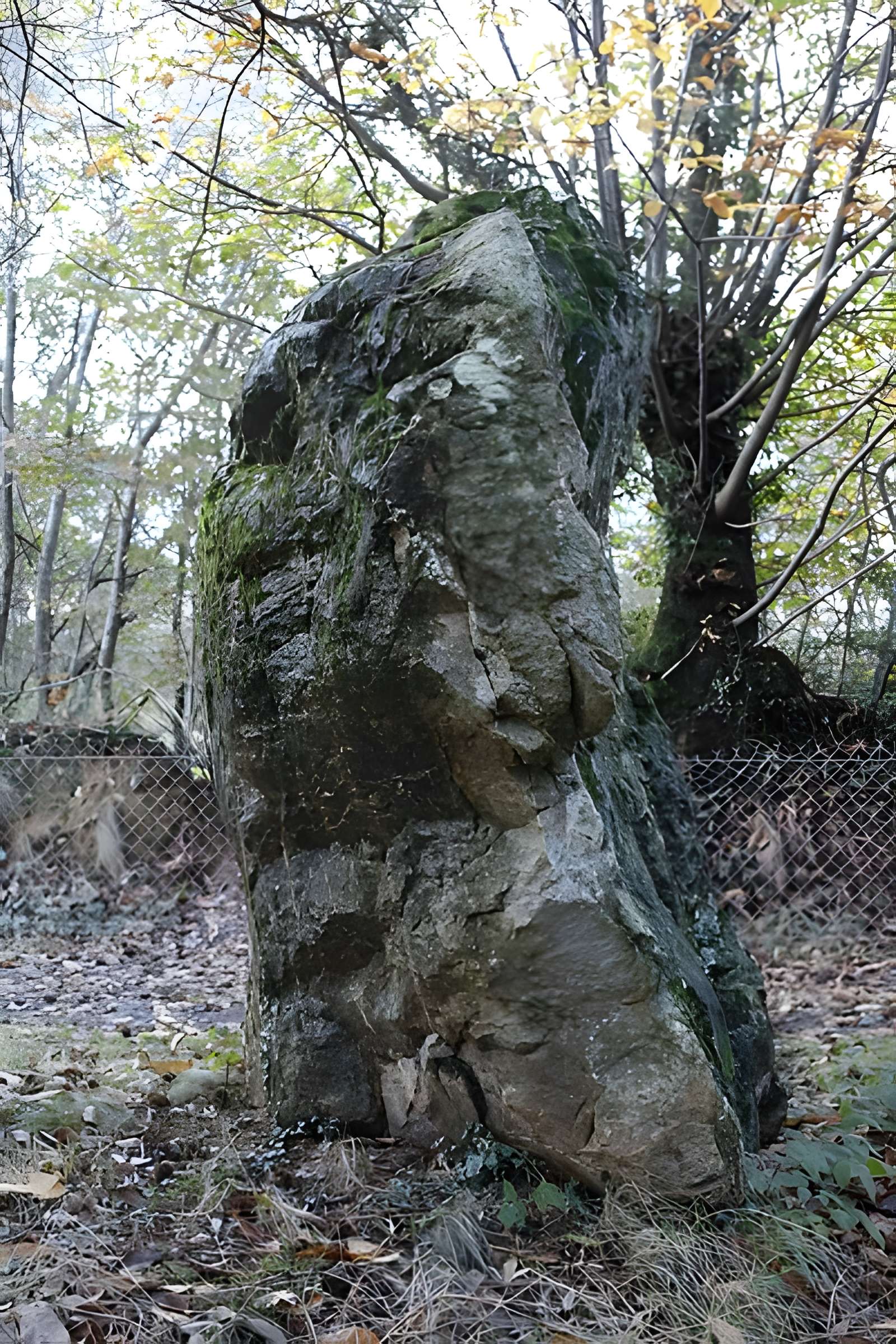 Pierre de Richebourg de Retiers