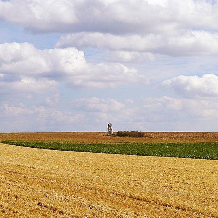 Photo de Pierre Droite de Milly-la-Forêt