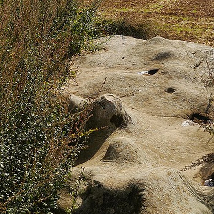 Photo de Pierre Droite de Milly-la-Forêt