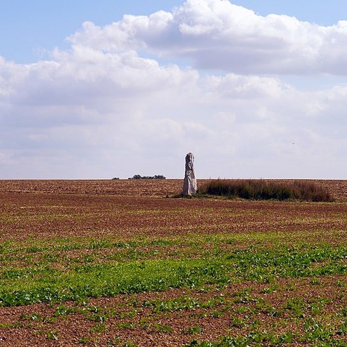 Photo de Pierre Droite de Milly-la-Forêt