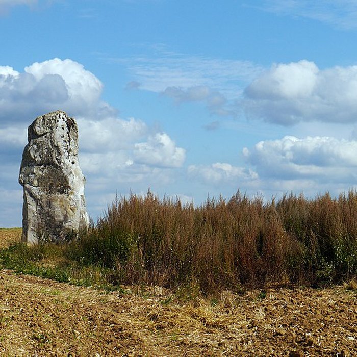 Photo de Pierre Droite de Milly-la-Forêt