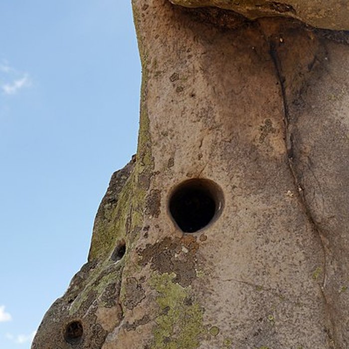 Photo de Pierre Droite de Milly-la-Forêt