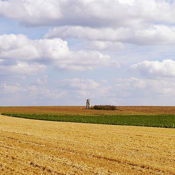 Pierre Droite de Milly-la-Forêt
