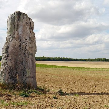 Pierre Droite de Milly-la-Forêt