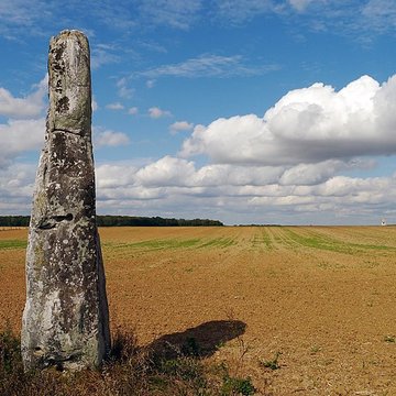 Pierre Droite de Milly-la-Forêt