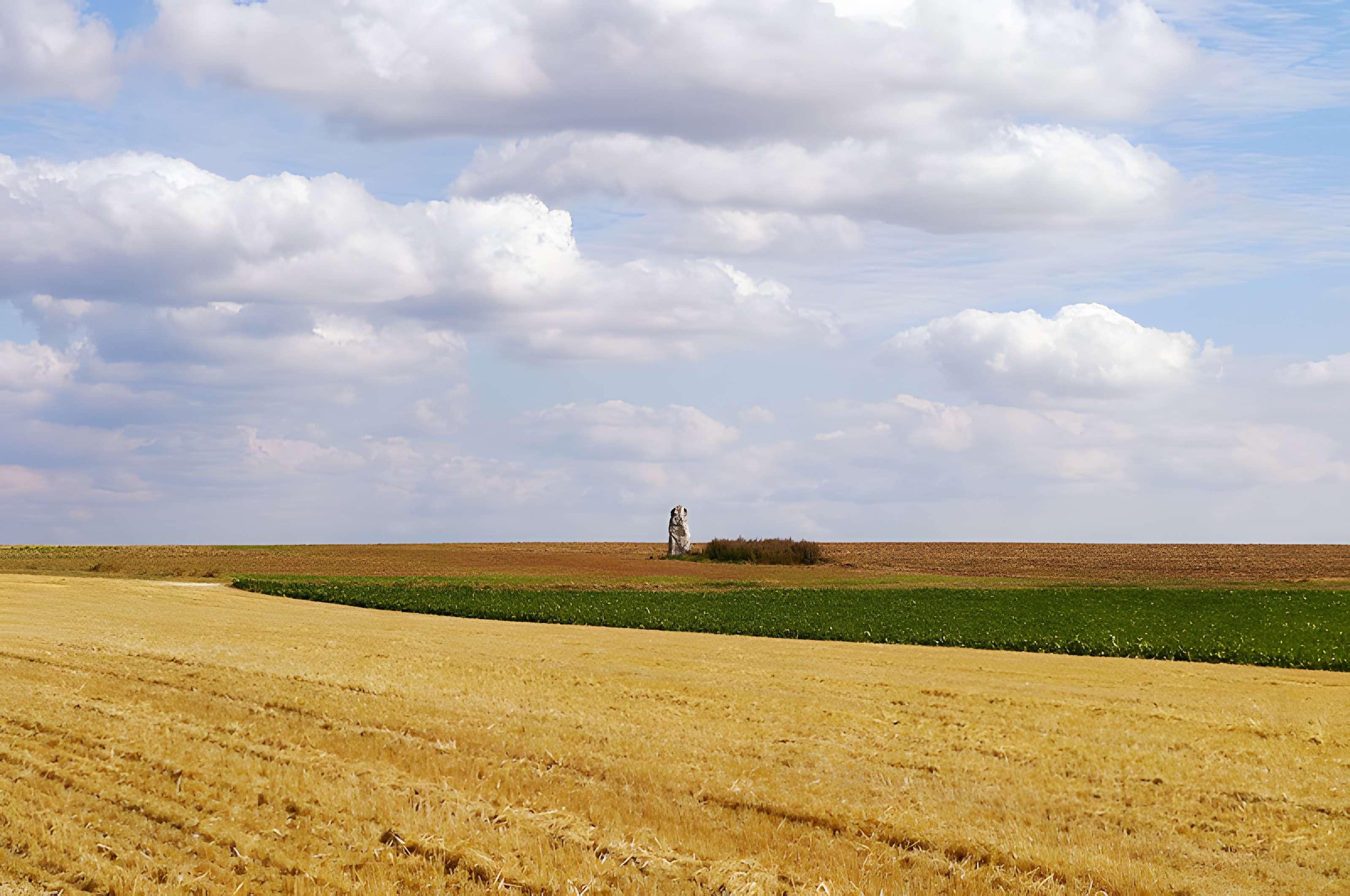 Pierre Droite de Milly-la-Forêt