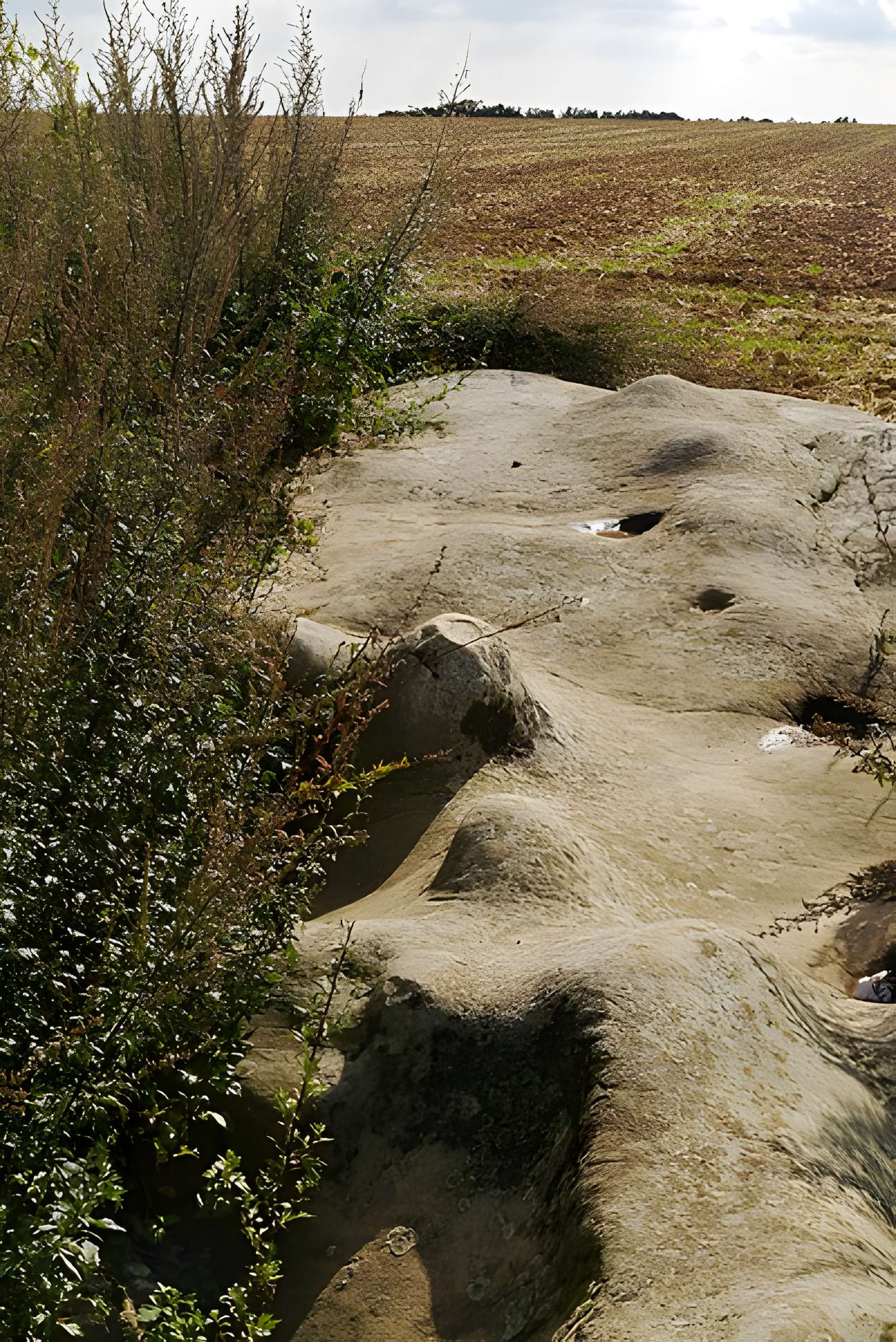 Pierre Droite de Milly-la-Forêt
