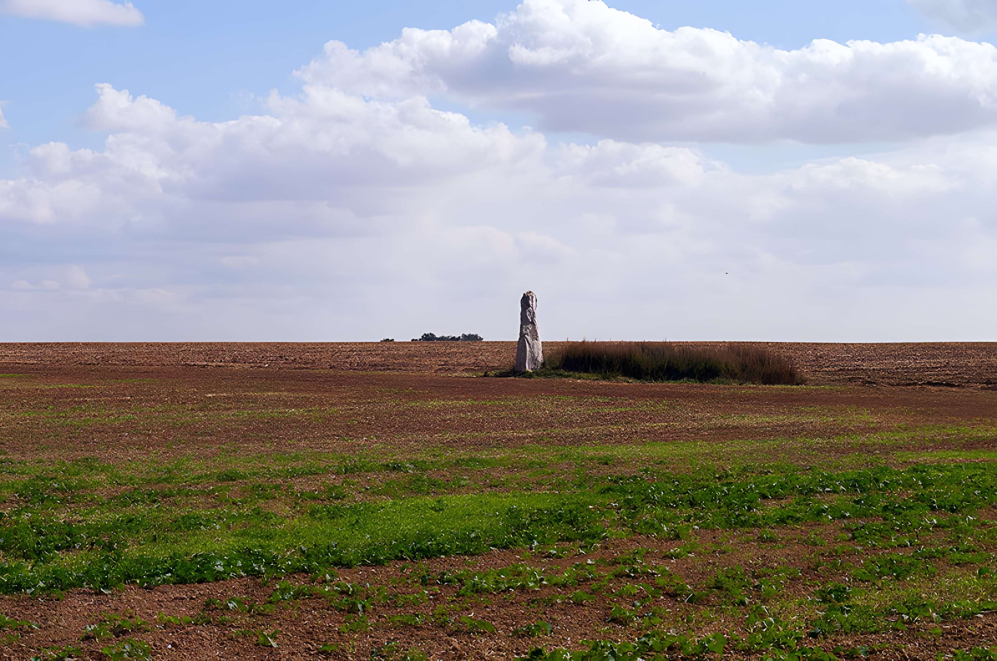 Pierre Droite de Milly-la-Forêt