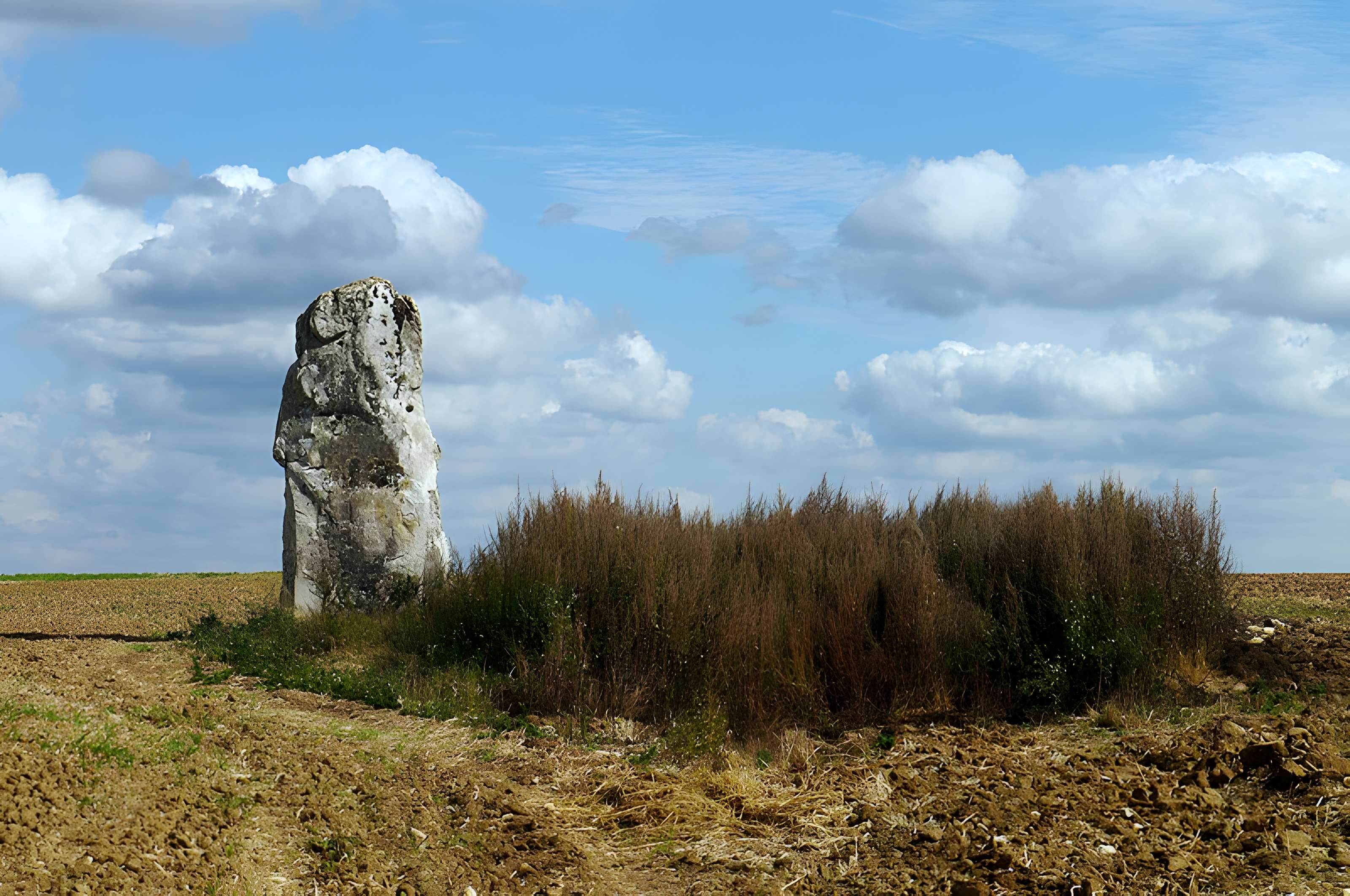 Pierre Droite de Milly-la-Forêt