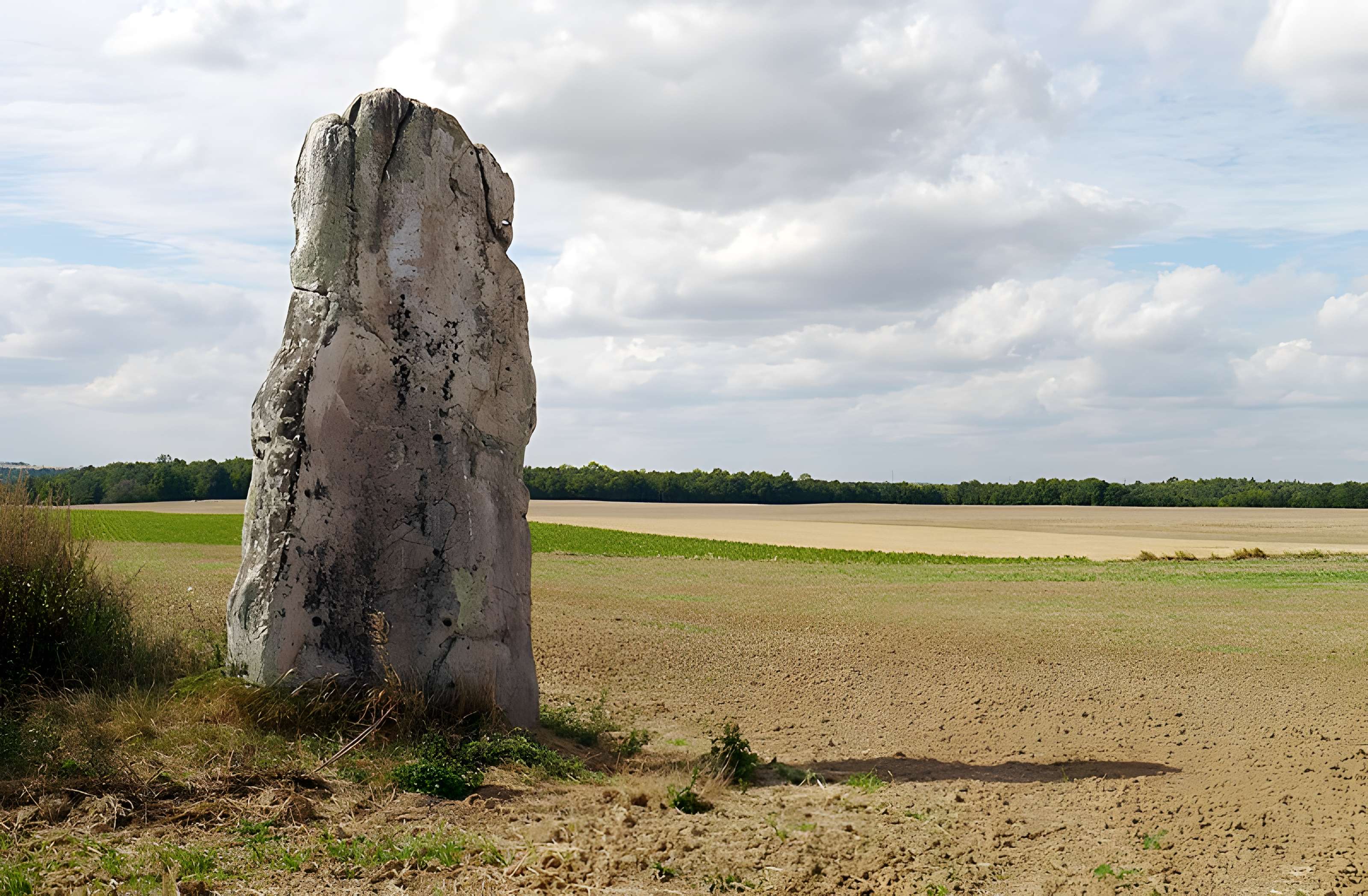 Pierre Droite de Milly-la-Forêt
