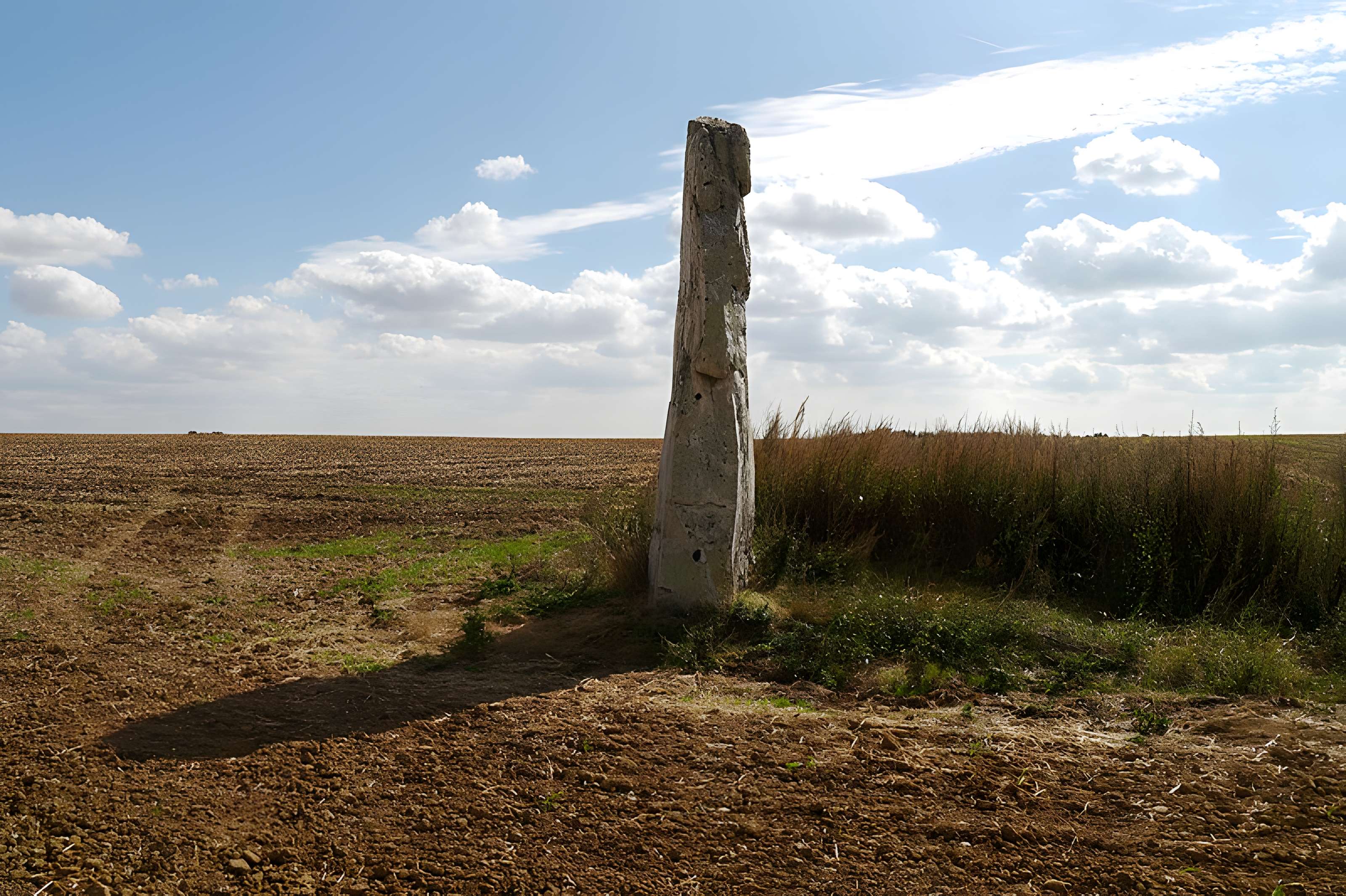 Pierre Droite de Milly-la-Forêt
