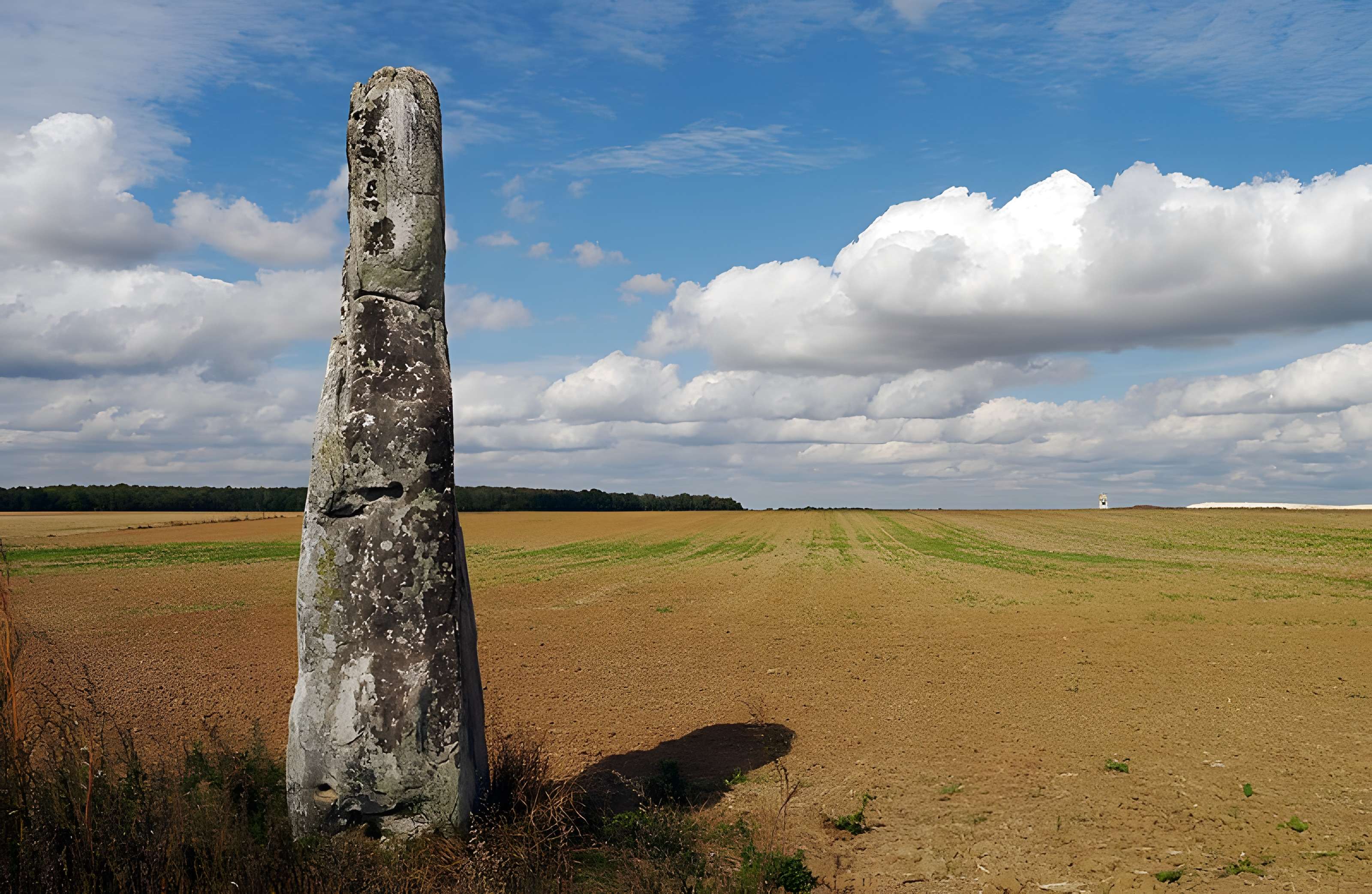 Pierre Droite de Milly-la-Forêt