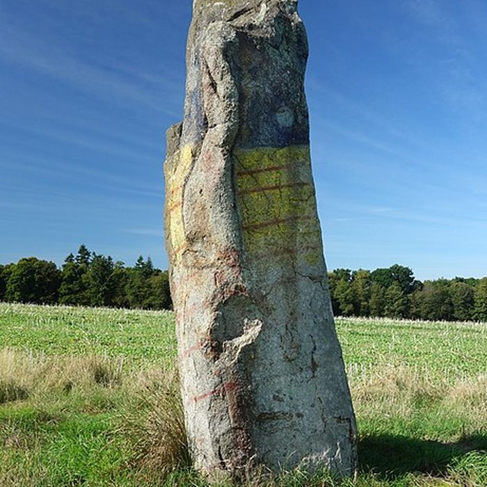 Photo de Pierre du Domaine de Plerguer