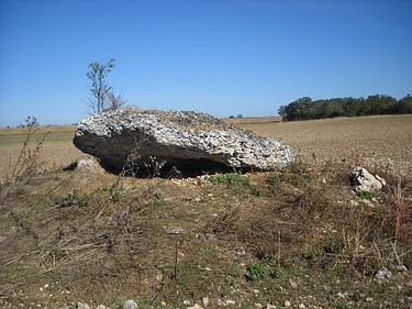 Photo de Pierre du Vert-Galant à Tavers