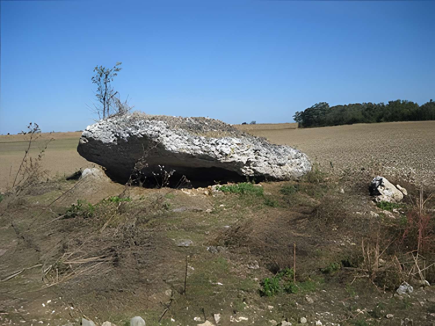 Pierre du Vert-Galant à Tavers 