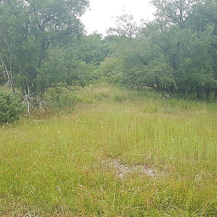 Photo de Pierre Martine de Livernon