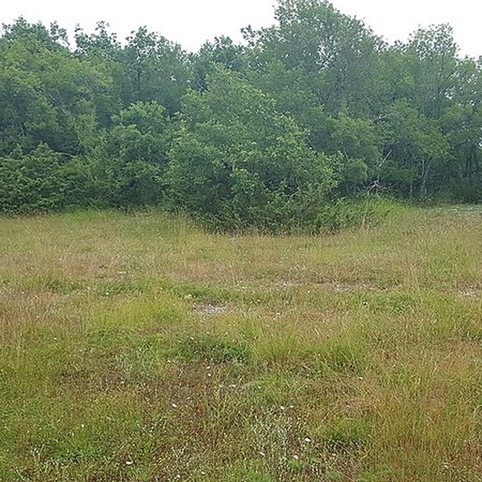 Photo de Pierre Martine de Livernon