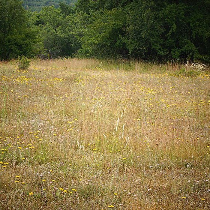 Photo de Pierre Martine de Livernon