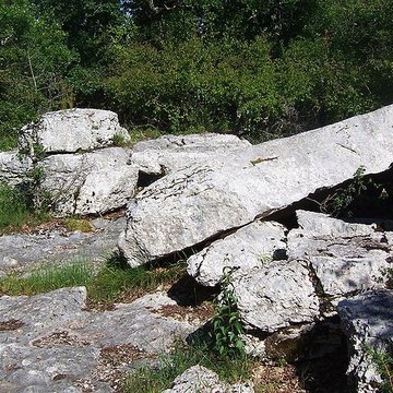 Pierre Martine de Livernon