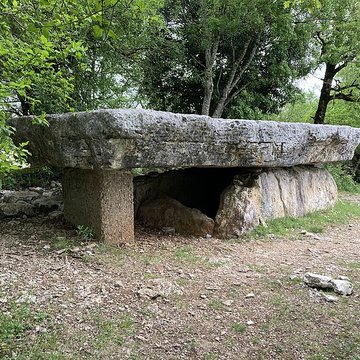 Pierre Martine de Livernon