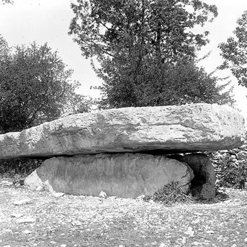 Pierre Martine de Livernon