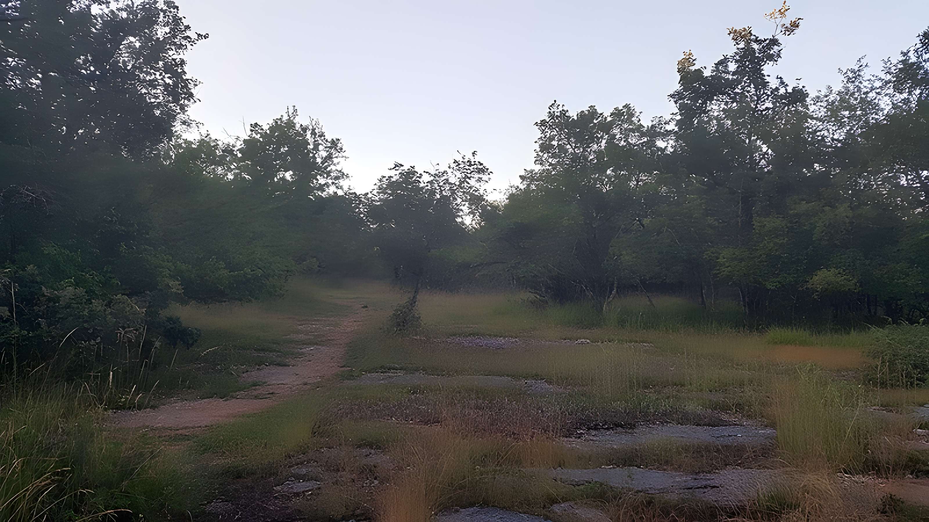 Pierre Martine de Livernon