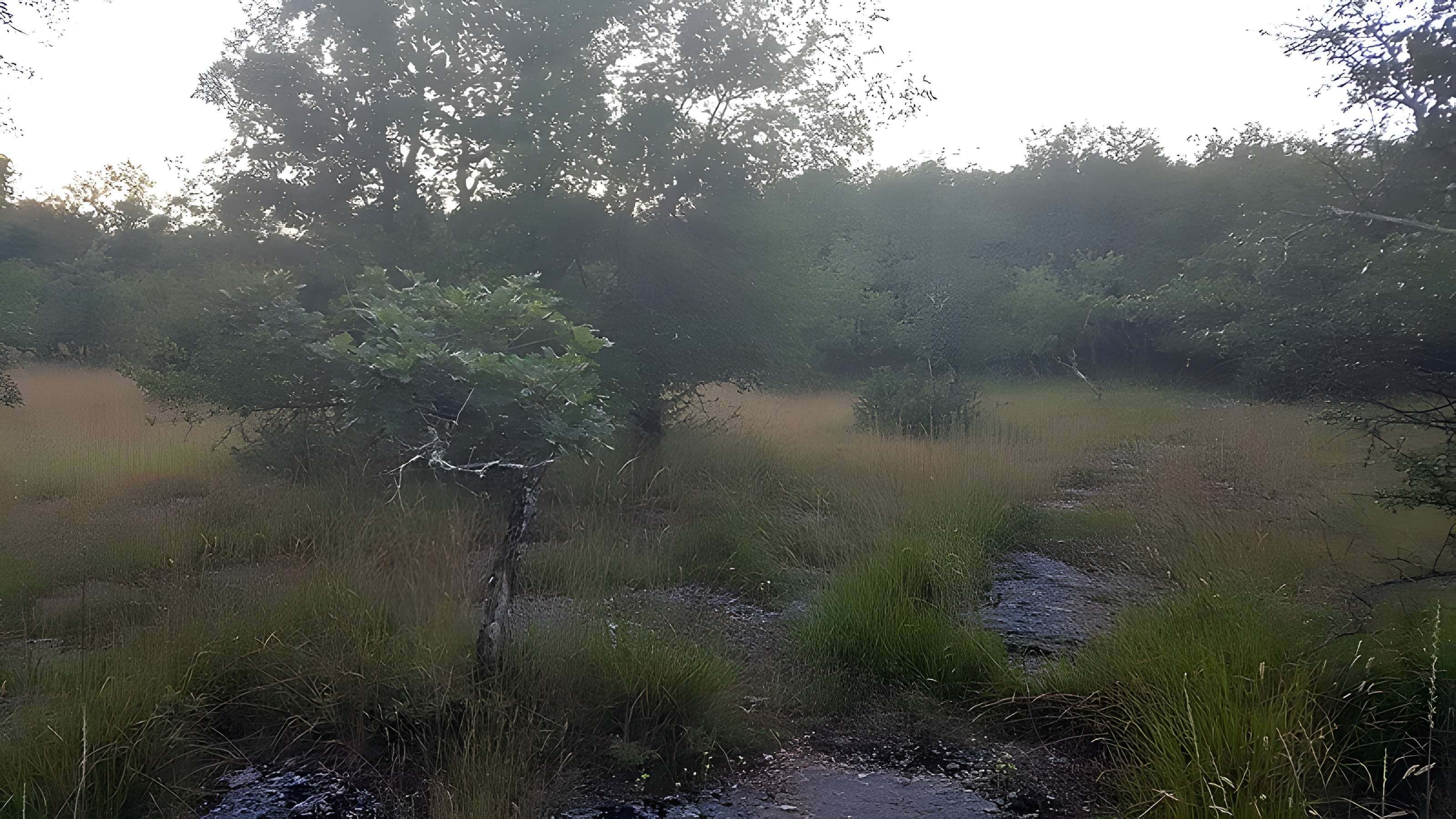 Pierre Martine de Livernon