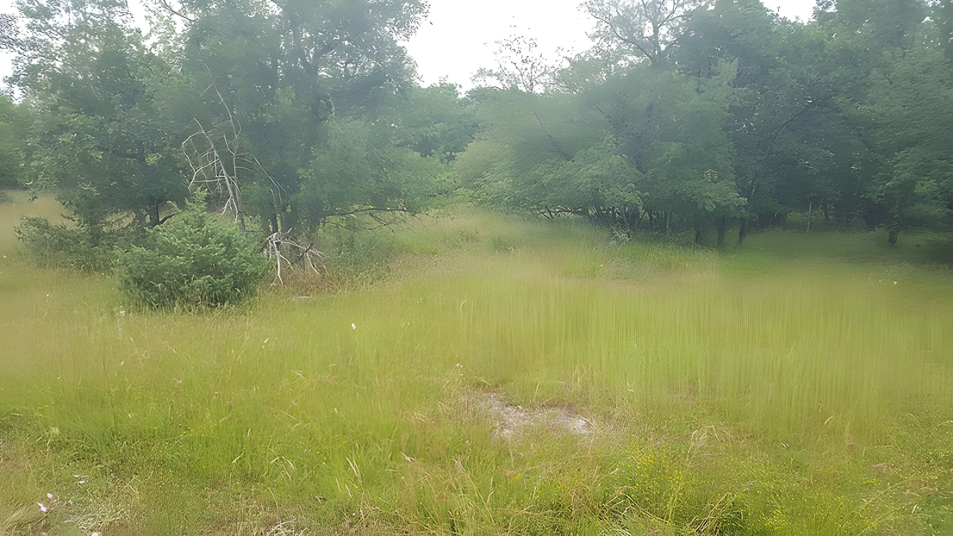 Pierre Martine de Livernon