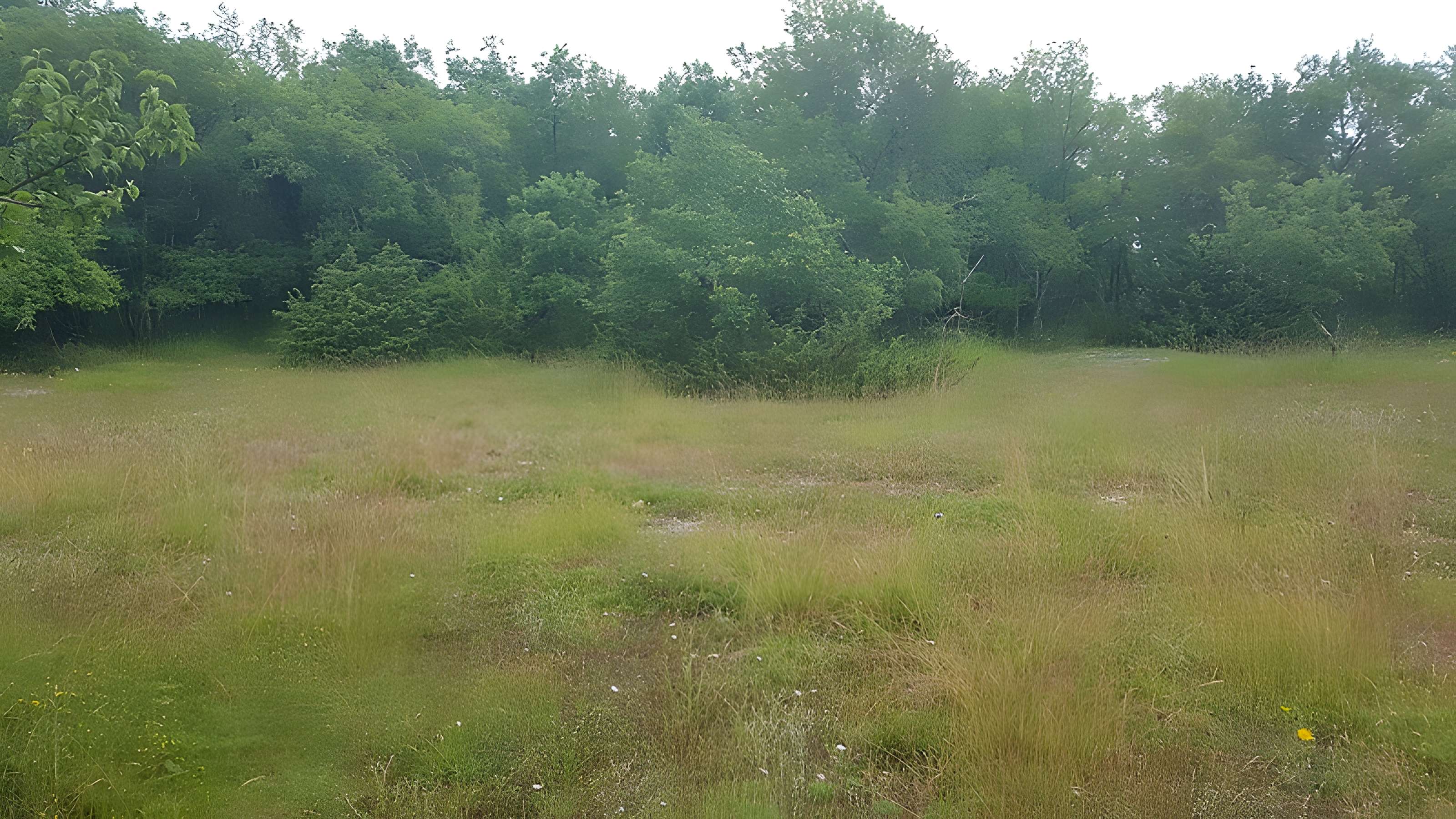 Pierre Martine de Livernon