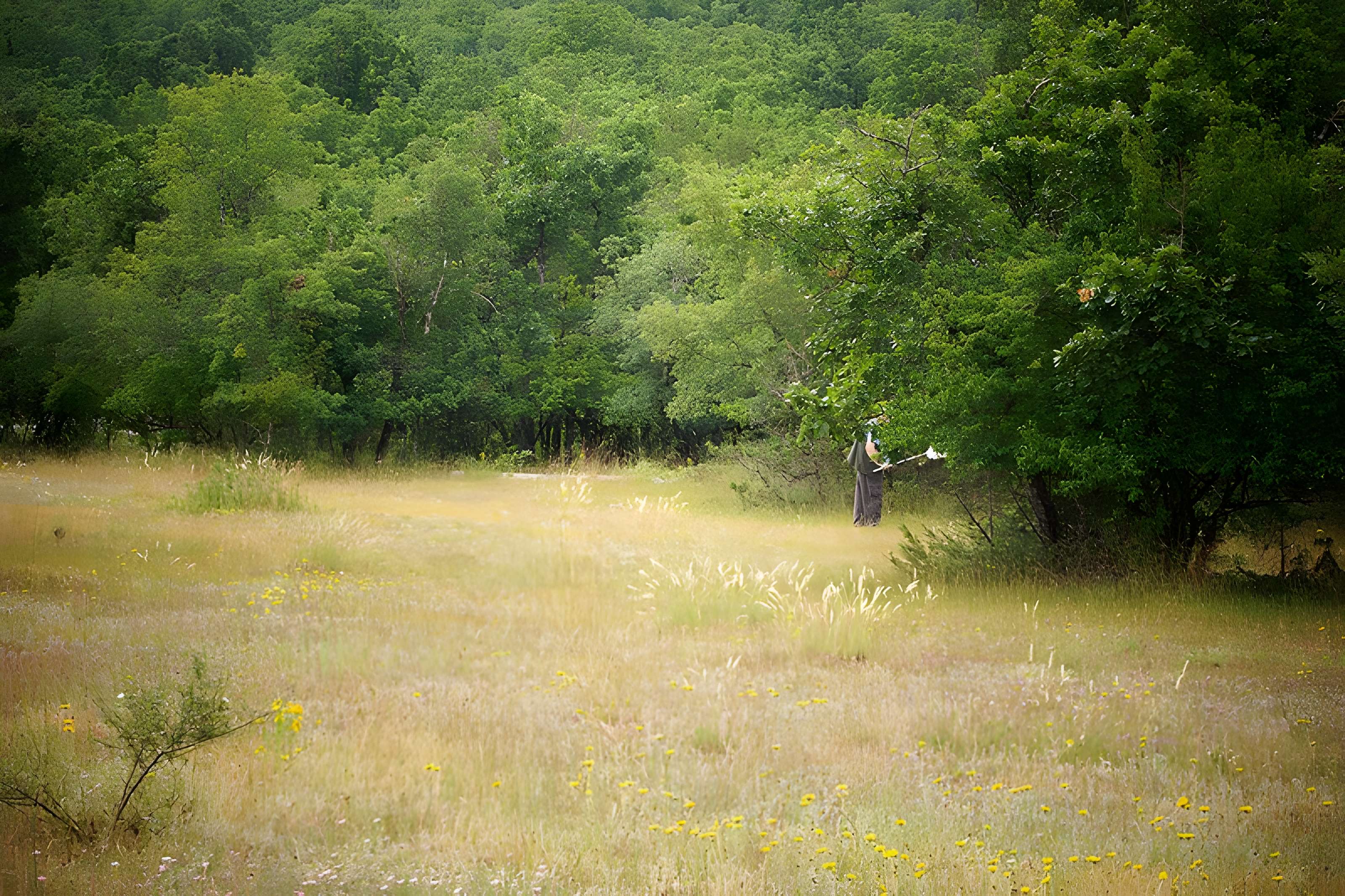 Pierre Martine de Livernon