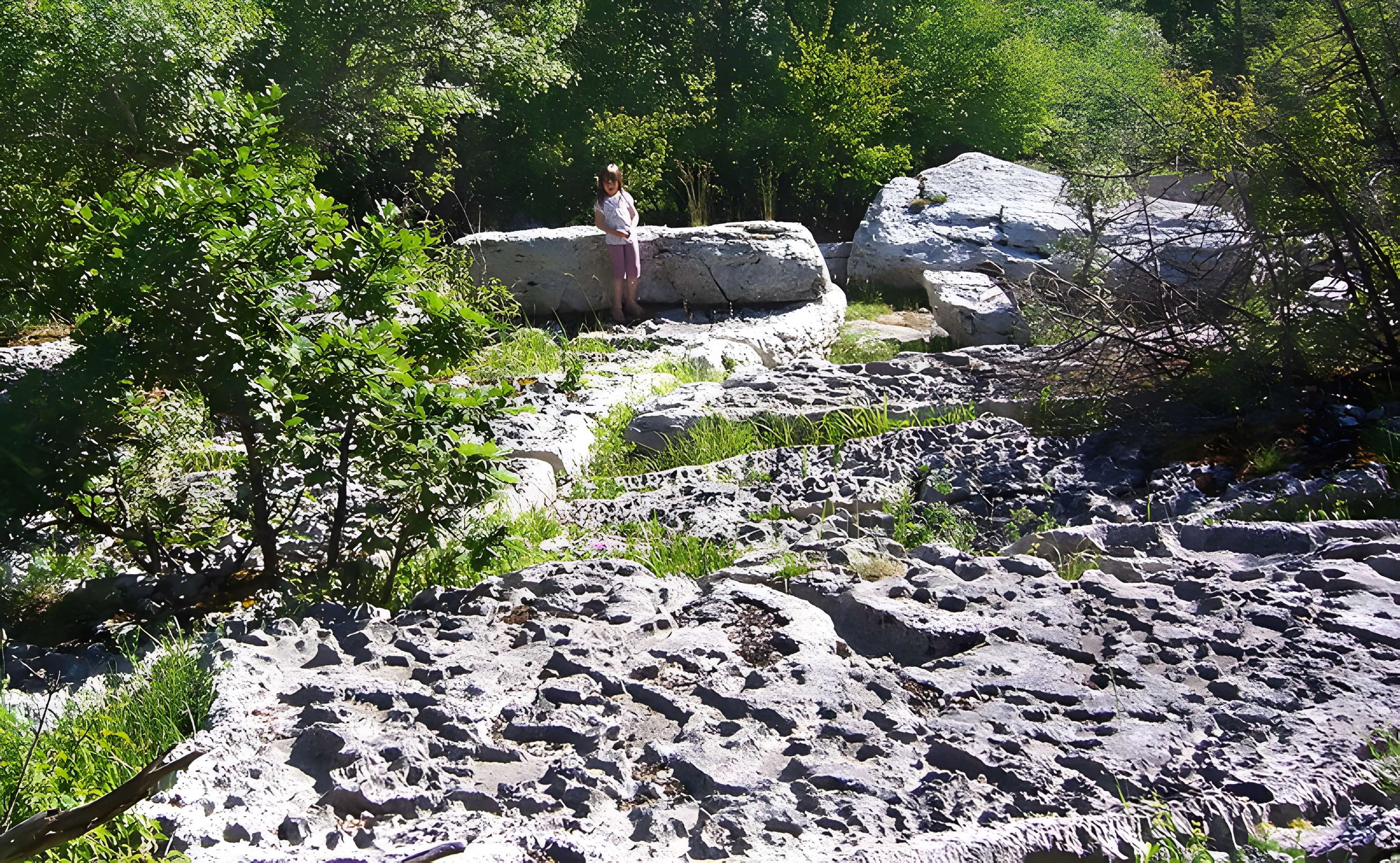 Pierre Martine de Livernon