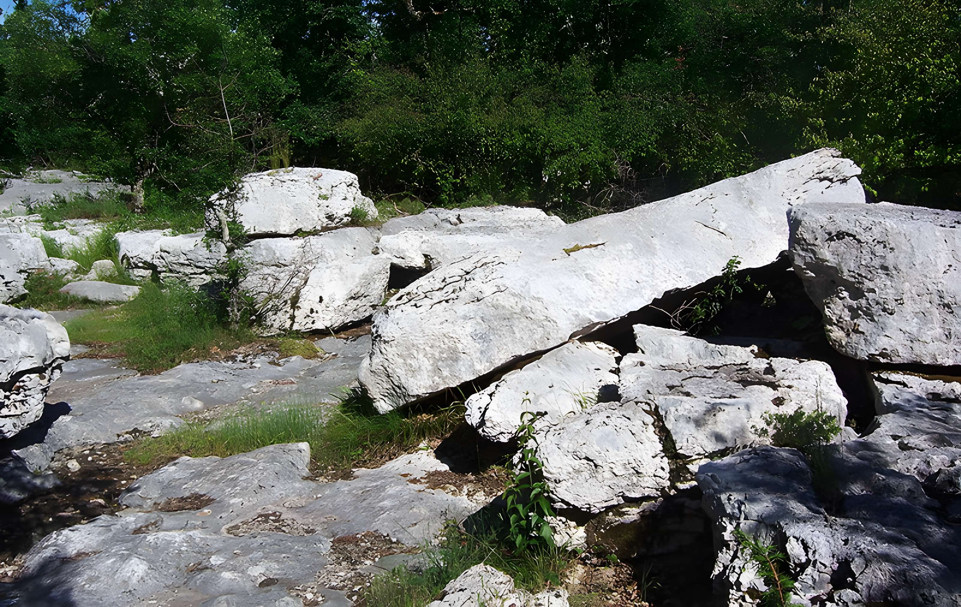 Pierre Martine de Livernon