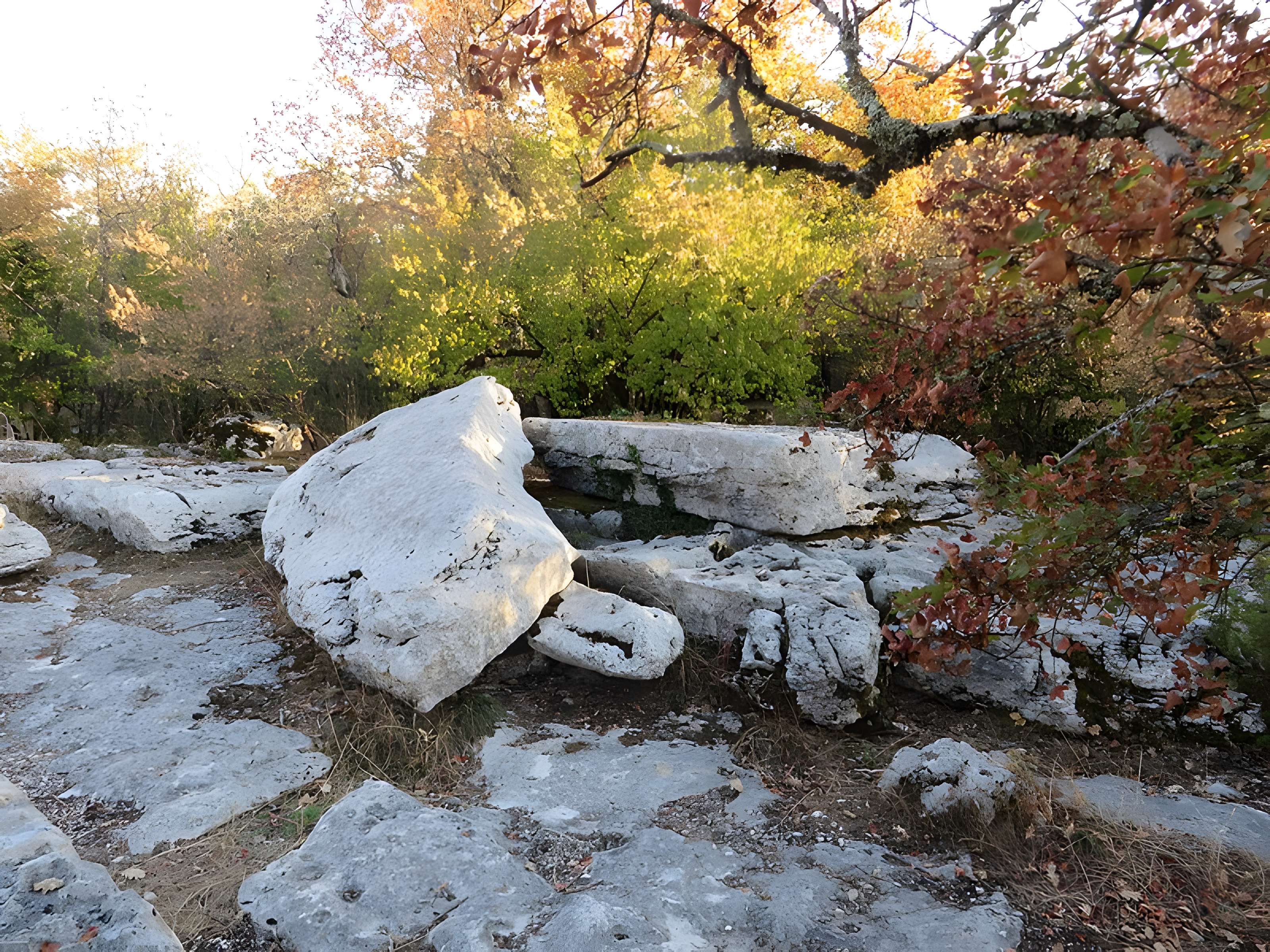 Pierre Martine de Livernon