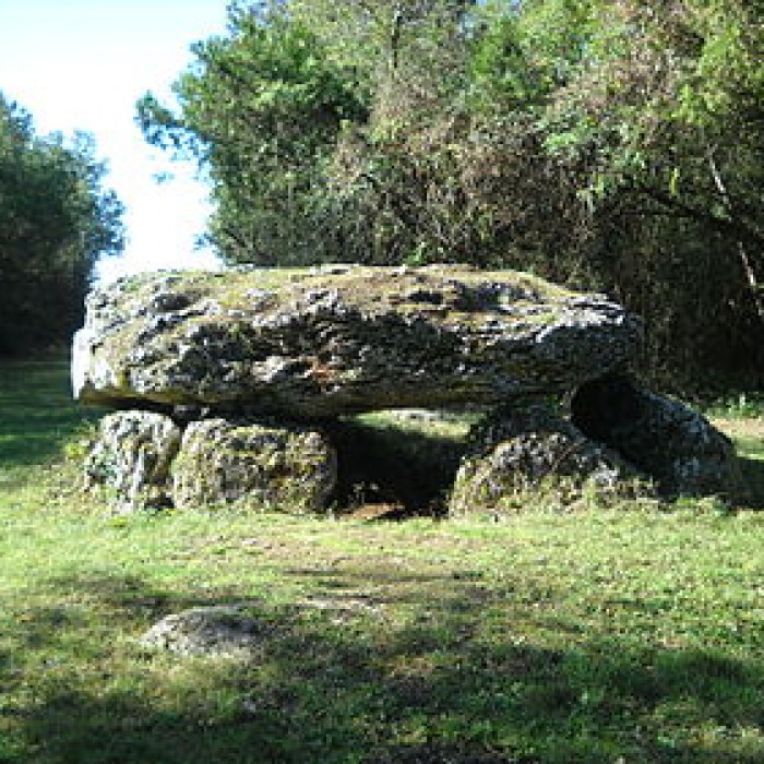 Photo de Dolmen dit La Pierre Tournante