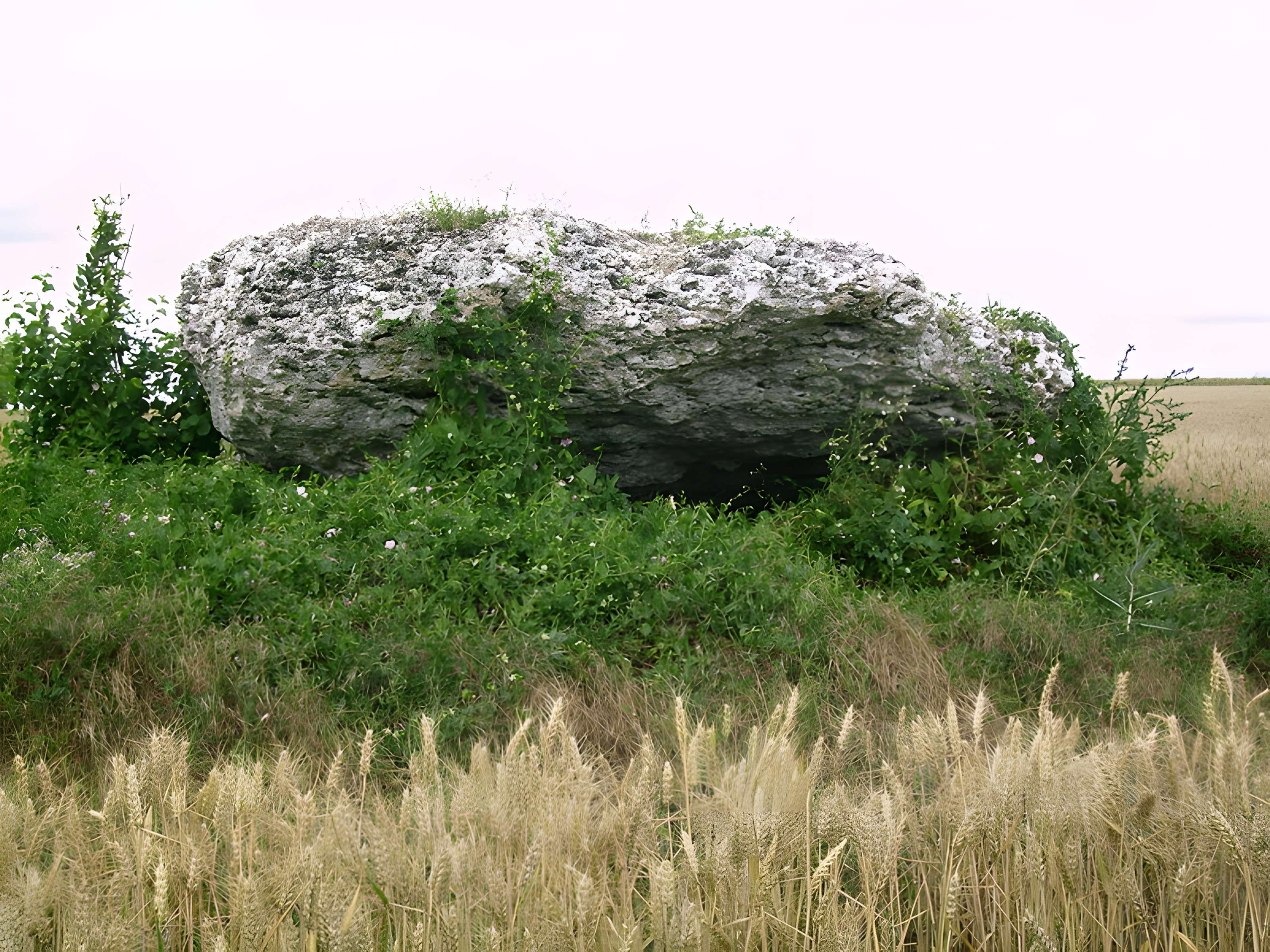 Dolmen dit La Pierre Tournante