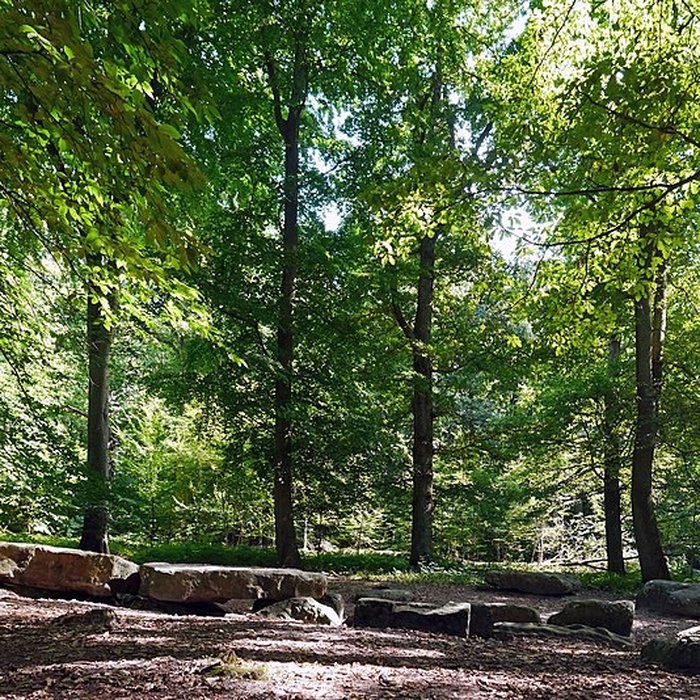 Photo de Pierre Turquaise de Saint-Martin-du-Tertre