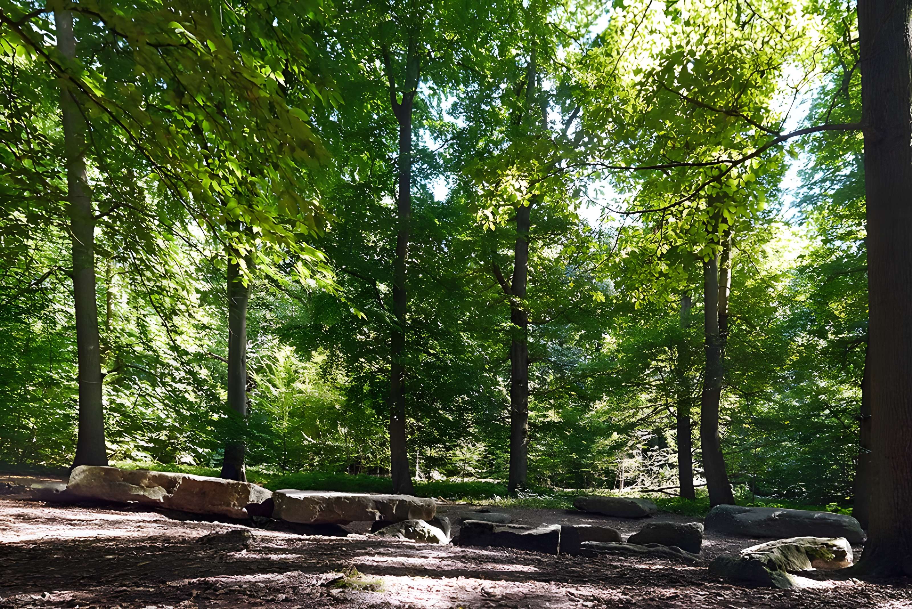 Pierre Turquaise de Saint-Martin-du-Tertre