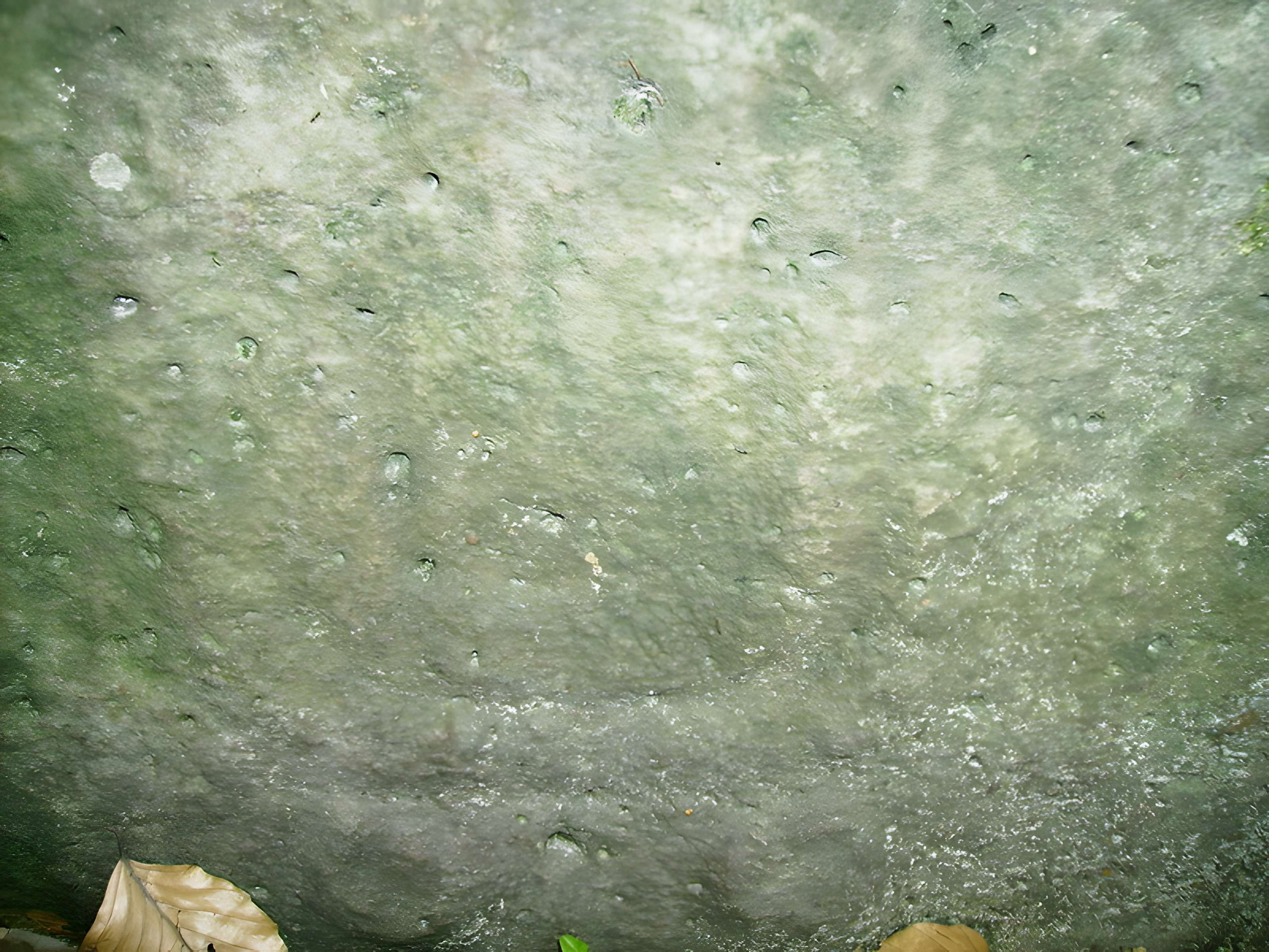 Pierre Turquaise de Saint-Martin-du-Tertre