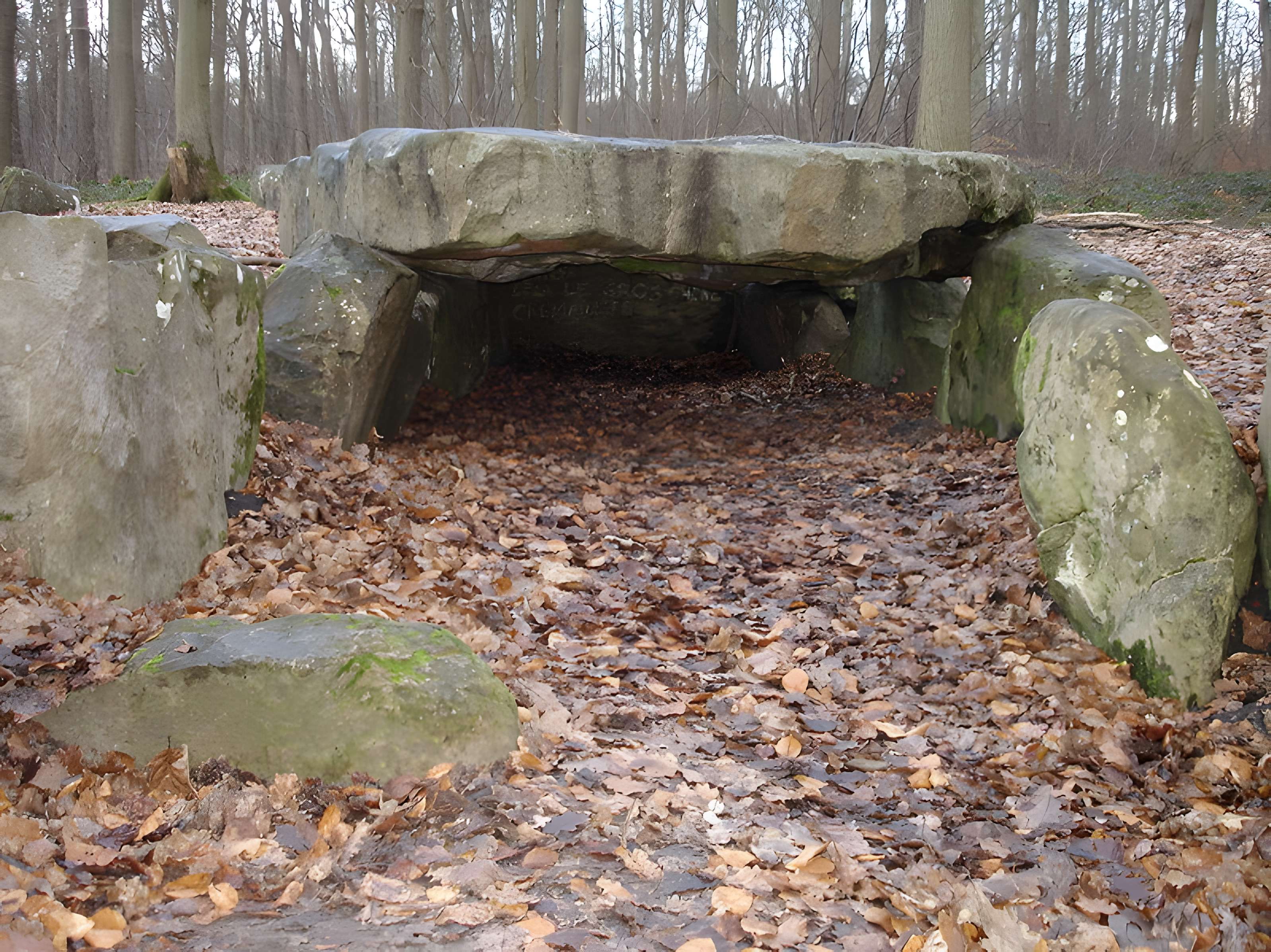 Pierre Turquaise de Saint-Martin-du-Tertre