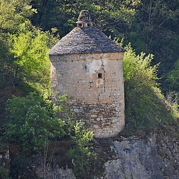 Photo de Pigeonnier de Laguille