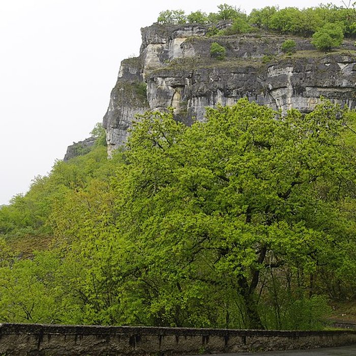 Photo de Pigeonnier de Laguille
