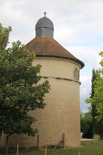 Photo de Pigeonnier de Vendeuvre-du-Poitou