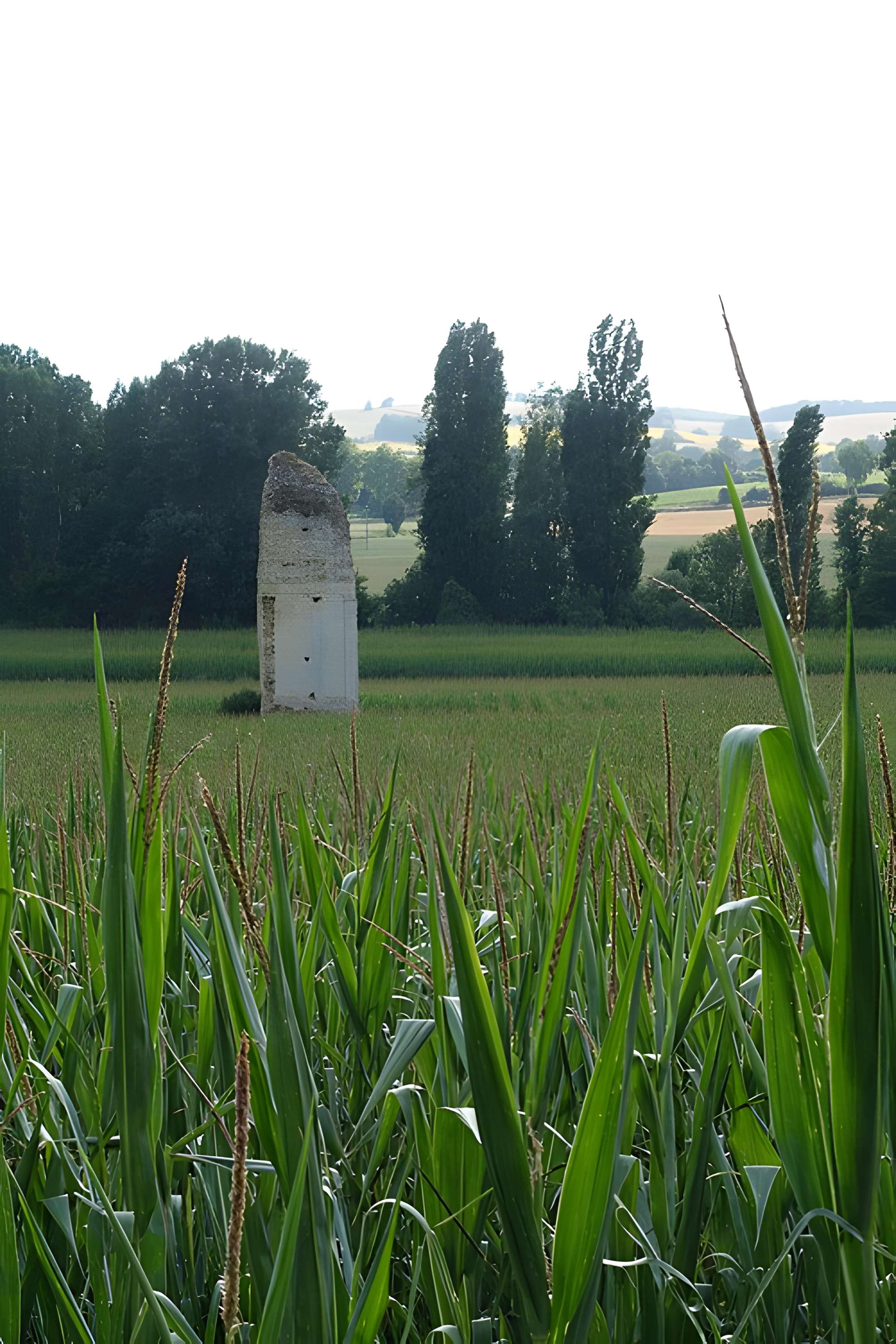 Pile gallo-romaine de Biran