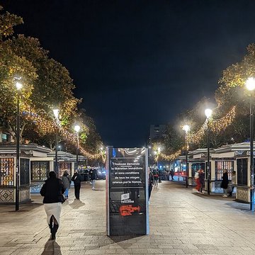 Place du Président-Thomas-Wilson à Toulouse 