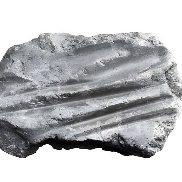 Photo de Polissoir de Ferrière-Larçon