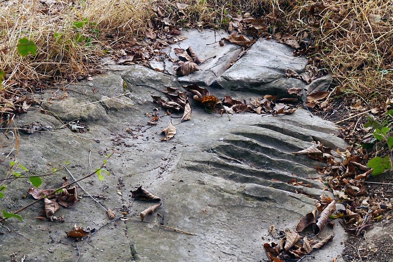 Photo de Polissoir de Grimery à Buno-Bonnevaux