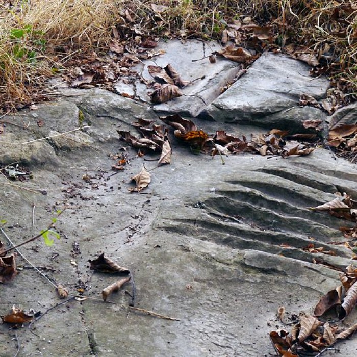 Photo de Polissoir de Grimery à Buno-Bonnevaux
