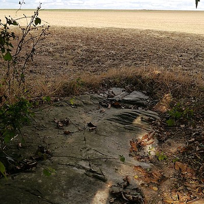 Photo de Polissoir de Grimery à Buno-Bonnevaux